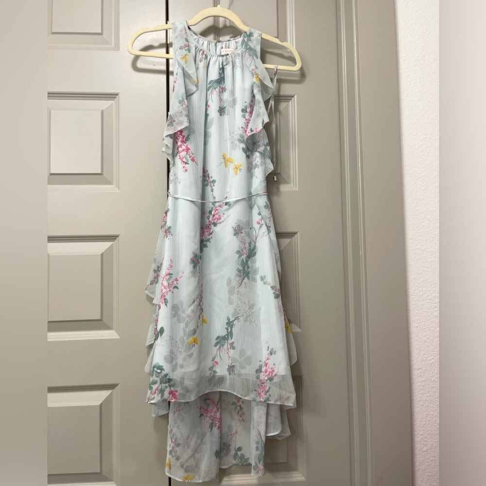 Ted Baker Ruffle Hem Floral Dress | size: 0